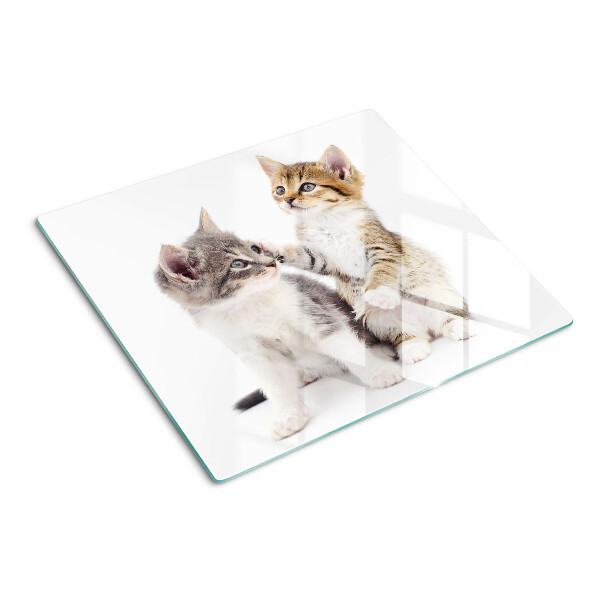 Tábua para corte Gatos em um fundo branco