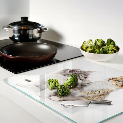 Tábua para corte Gatos em um fundo branco