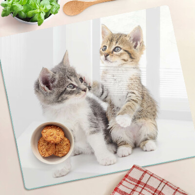 Tábua para corte Gatos em um fundo branco