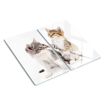 Tábua para corte Gatos em um fundo branco