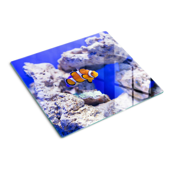 Tábua para cozinha Peixe-palhaço entre as rochas