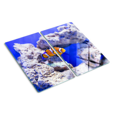 Tábua para cozinha Peixe-palhaço entre as rochas