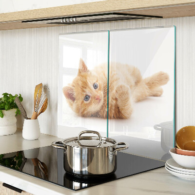 Tábua para corte Gatinho ruivo em um fundo branco