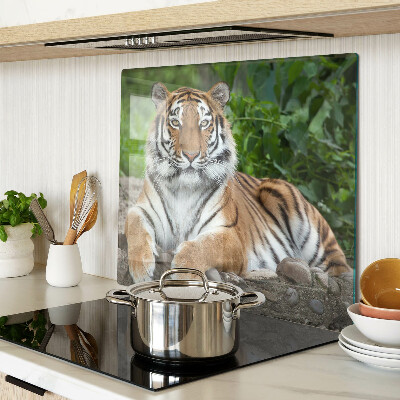 Tábua para corte Tigre em seu habitat natural