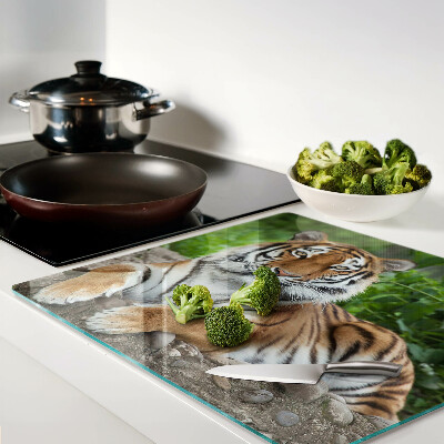 Tábua para corte Tigre em seu habitat natural