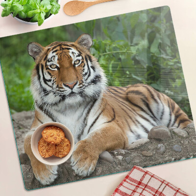Tábua para corte Tigre em seu habitat natural