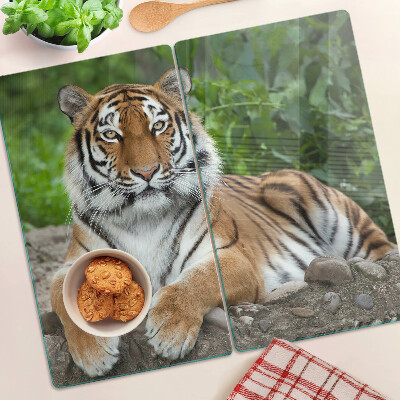 Tábua para corte Tigre em seu habitat natural