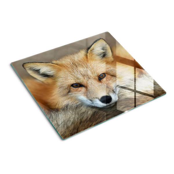 Tábua para cozinha Raposa vermelha jovem