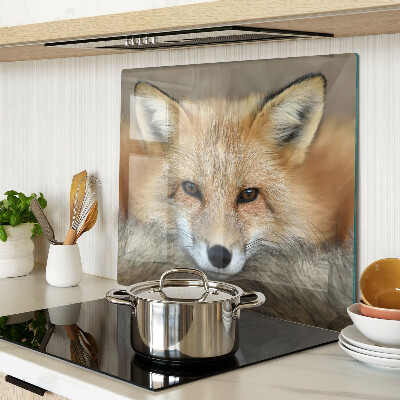 Tábua para cozinha Raposa vermelha jovem