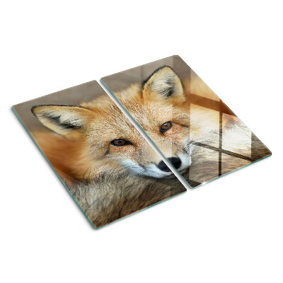 Tábua para cozinha Raposa vermelha jovem