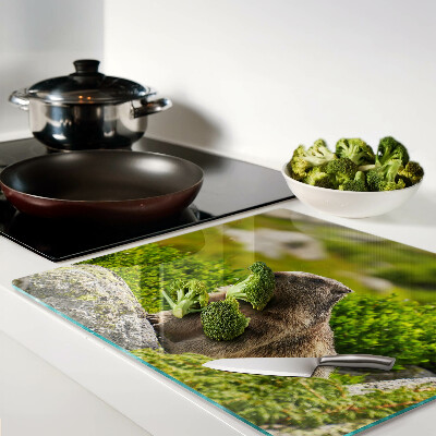 Tábua para corte Marmota contra um fundo de grama verde