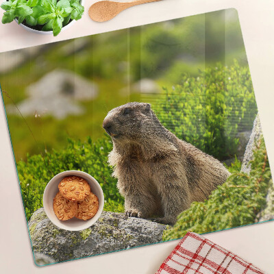 Tábua para corte Marmota contra um fundo de grama verde