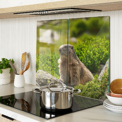 Tábua para corte Marmota contra um fundo de grama verde