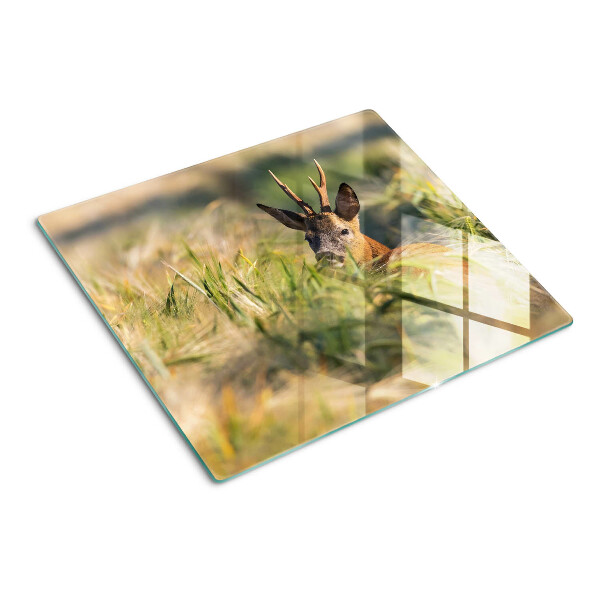 Tábua para cozinha Um cervo no campo