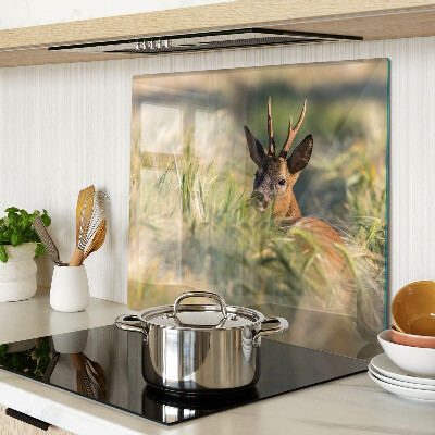 Tábua para cozinha Um cervo no campo