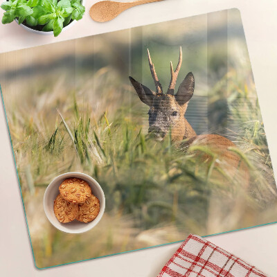 Tábua para cozinha Um cervo no campo