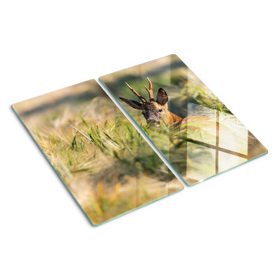 Tábua para cozinha Um cervo no campo