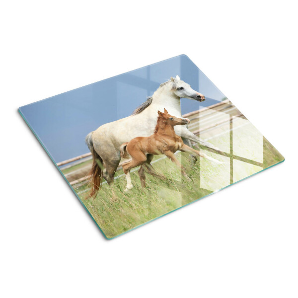 Tábua para corte Um cavalo com um potro em um prado