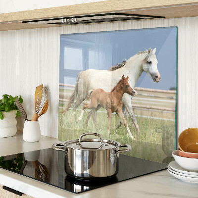 Tábua para corte Um cavalo com um potro em um prado