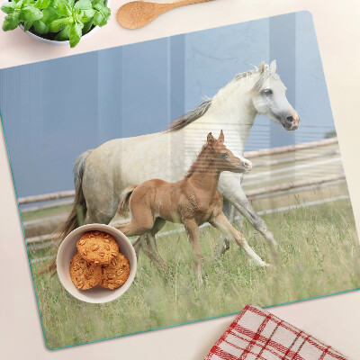 Tábua para corte Um cavalo com um potro em um prado