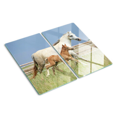 Tábua para corte Um cavalo com um potro em um prado