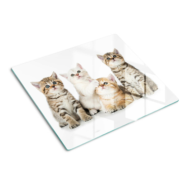 Tábua para cozinha Um bando de gatinhos