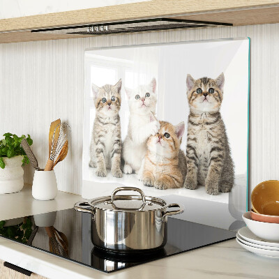 Tábua para cozinha Um bando de gatinhos