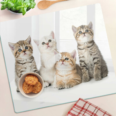 Tábua para cozinha Um bando de gatinhos