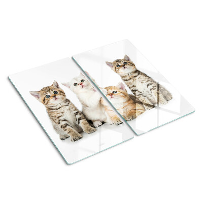 Tábua para cozinha Um bando de gatinhos