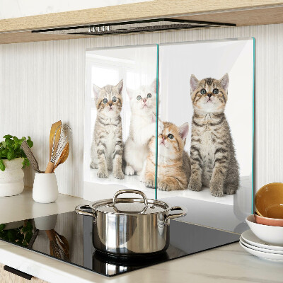 Tábua para cozinha Um bando de gatinhos