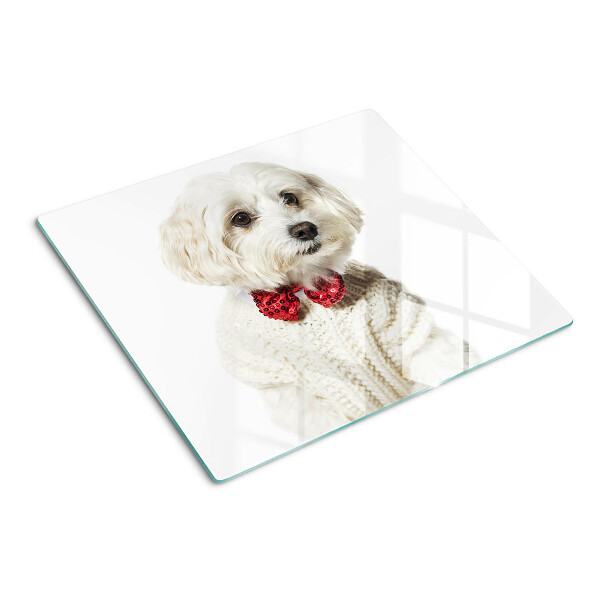 Tábua para cozinha Um cachorro com um suéter e um laço