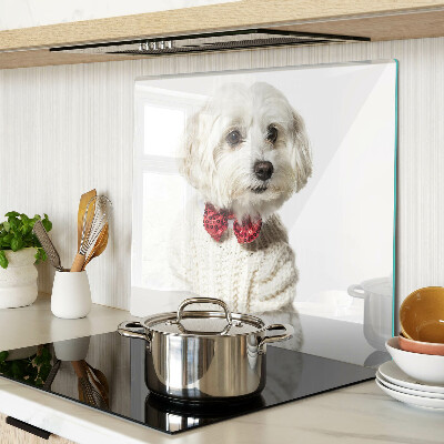 Tábua para cozinha Um cachorro com um suéter e um laço
