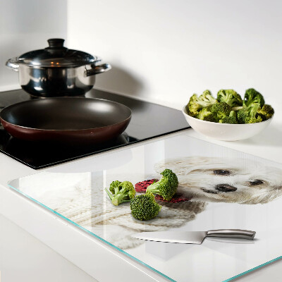 Tábua para cozinha Um cachorro com um suéter e um laço