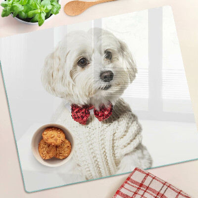 Tábua para cozinha Um cachorro com um suéter e um laço