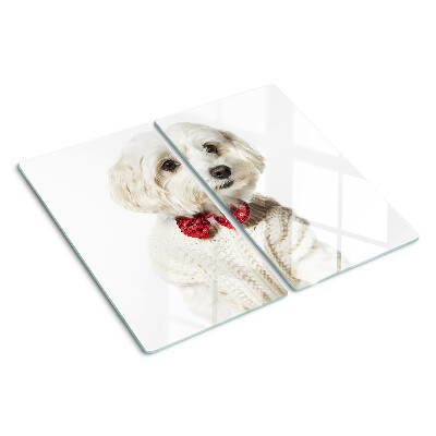 Tábua para cozinha Um cachorro com um suéter e um laço