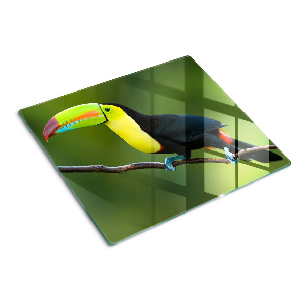 Tábua para cozinha Tucano em um galho