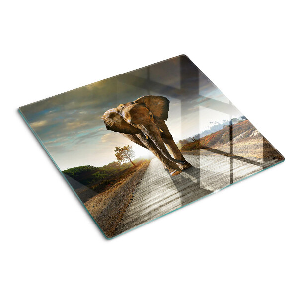 Tábua para corte Elefante na estrada ao pôr do sol