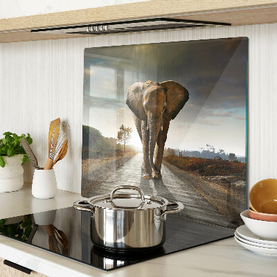 Tábua para corte Elefante na estrada ao pôr do sol