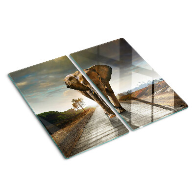 Tábua para corte Elefante na estrada ao pôr do sol