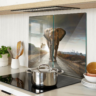 Tábua para corte Elefante na estrada ao pôr do sol