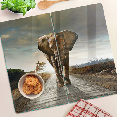 Tábua para corte Elefante na estrada ao pôr do sol