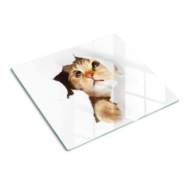 Tábua para corte Um gato olhando através de um buraco na parede