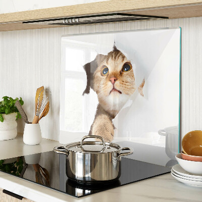 Tábua para corte Um gato olhando através de um buraco na parede