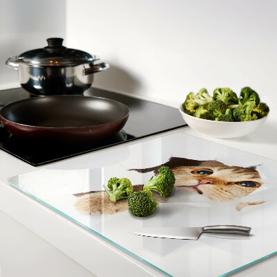 Tábua para corte Um gato olhando através de um buraco na parede