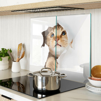 Tábua para corte Um gato olhando através de um buraco na parede