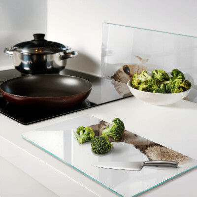 Tábua para corte Um gato olhando através de um buraco na parede