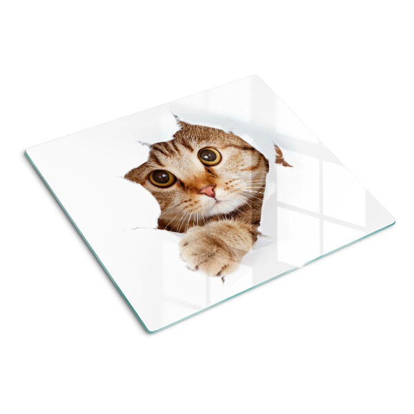 Tábua para cozinha Um gato saindo de um buraco