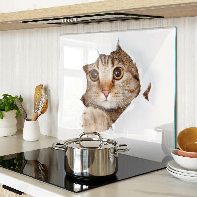 Tábua para cozinha Um gato saindo de um buraco