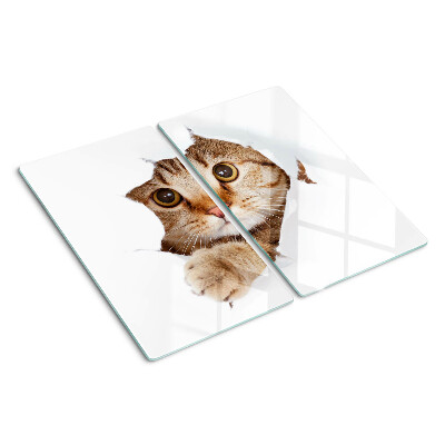 Tábua para cozinha Um gato saindo de um buraco