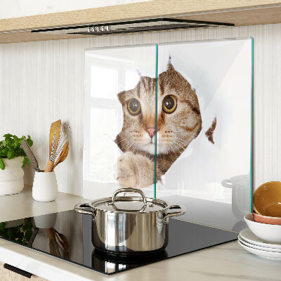 Tábua para cozinha Um gato saindo de um buraco